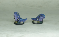 Akitiin Hatchlings